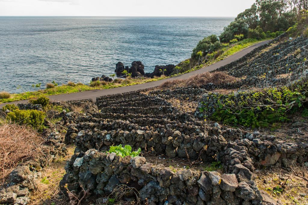 Villa Adega Velha Calheta de Nesquim Exterior foto